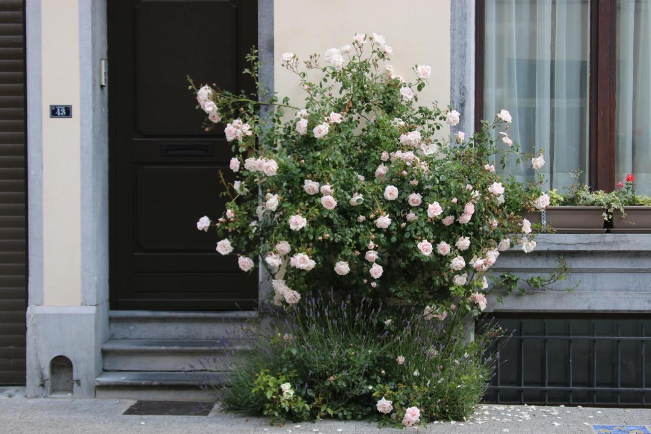 B&B Les Iris Brussels Luaran gambar